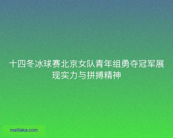 十四冬冰球赛北京女队青年组勇夺冠军展现实力与拼搏精神